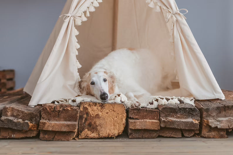 Teepee Dog Bed – The Dog's Human