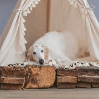 Teepee Dog Bed