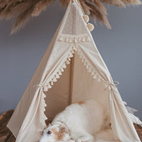 Teepee Dog Bed