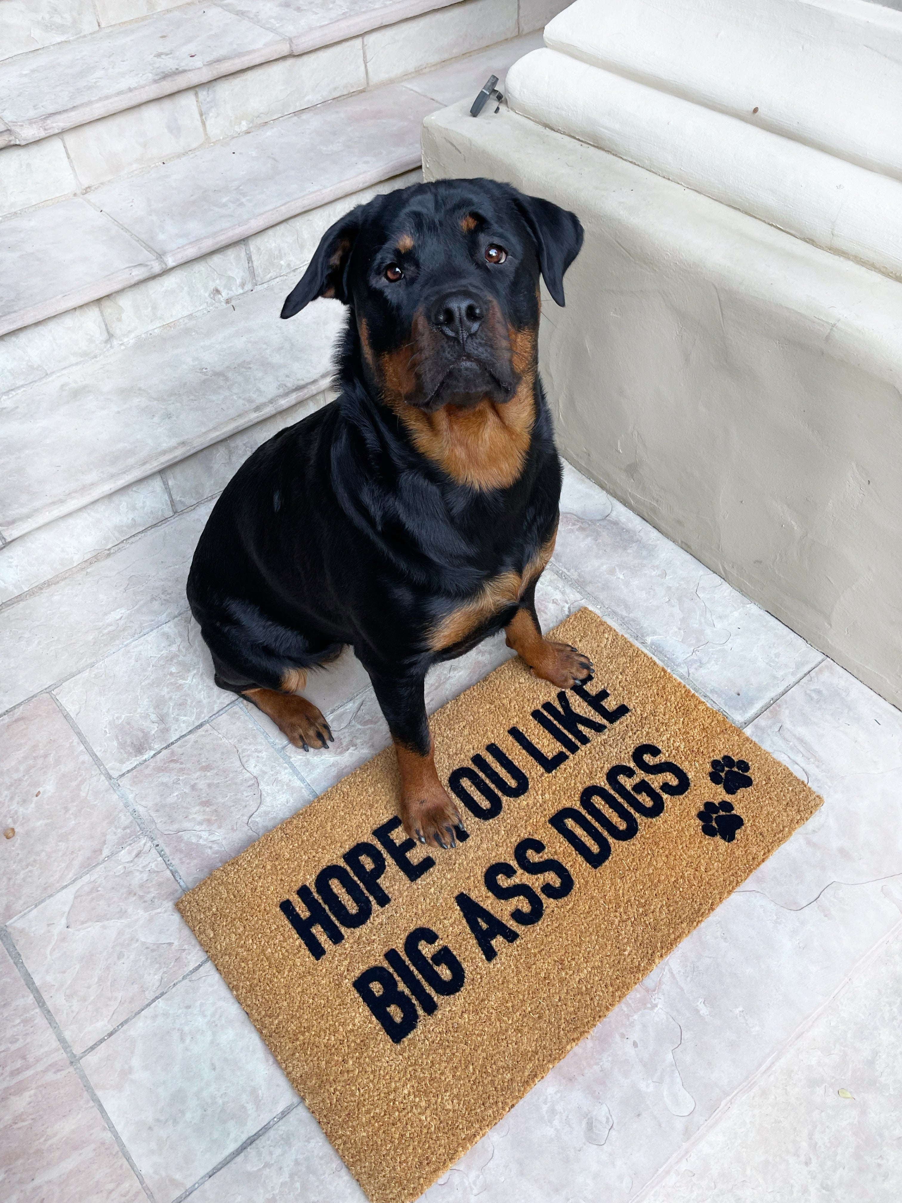 Hope You Like Big Ass Dogs Doormat, Funny Doormat, Dog Doormat, Dog Door Mat,  I Hope You Like Dogs, Dog Gift, Dog Lovers Gift, Big Ass Dogs 