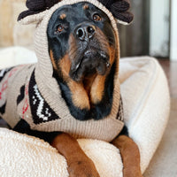 Moosey Hoodie