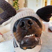 Moosey Hoodie
