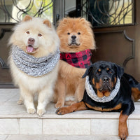 Winter Plaid Infinity Scarf
