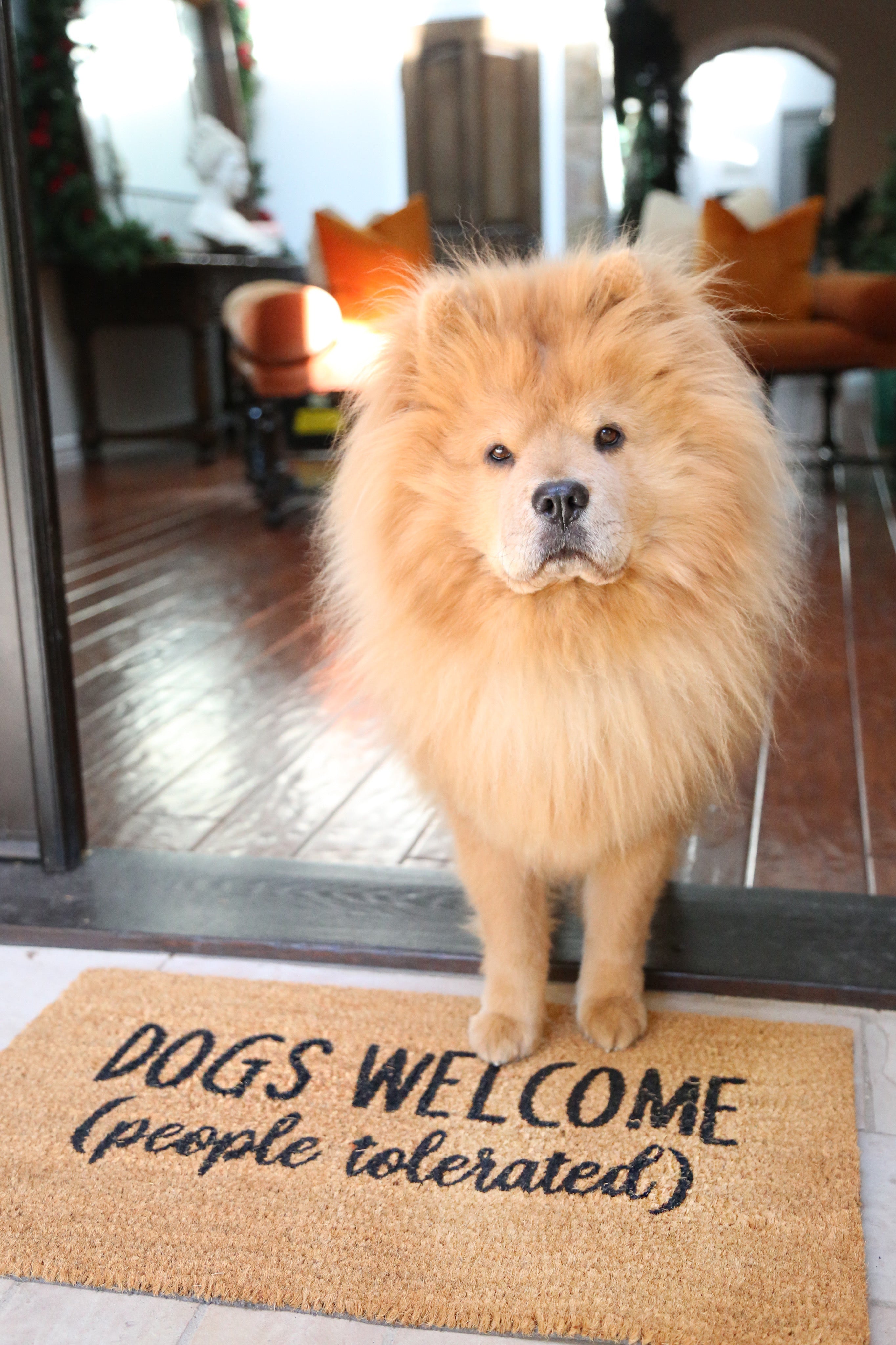 Dogs Welcome People Tolerated Door Mat