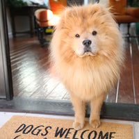 Dogs Welcome People Tolerated Doormat