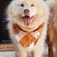 Pumpkin Spice Bandana