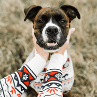 The Great Yukon Sweater