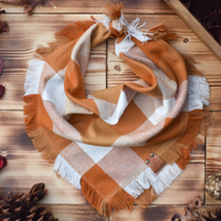Pumpkin Spice Bandana