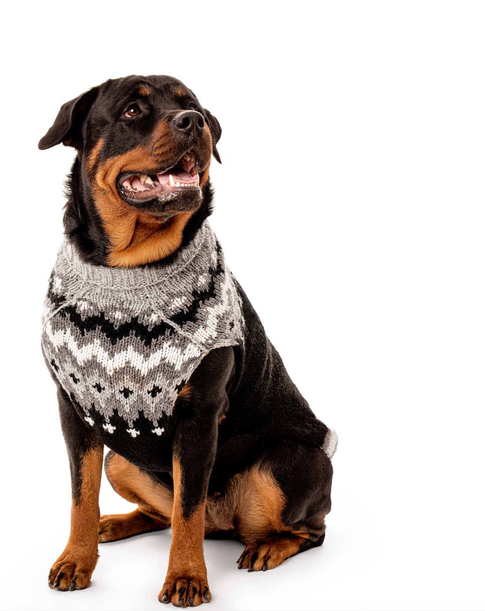 Apres ski dog sweater hotsell