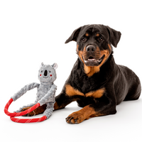 Koala Tug Toy