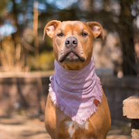 Pop of Spring Bandana