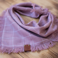 Pop of Spring Bandana