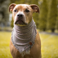 Peppered Pine Bandana