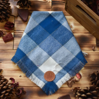 Sky Blue Plaid Bandana