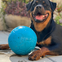 Jolly Ball