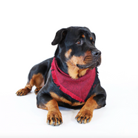 Cinder Red Bandana
