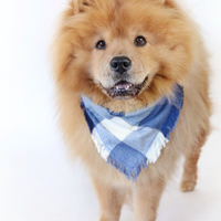 Sky Blue Plaid Bandana