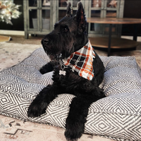 Diamond Dog Bed