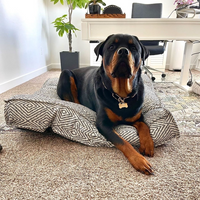 Diamond Dog Bed