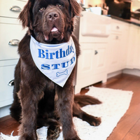 Birthday Boy Bandana