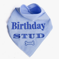 Birthday Boy Bandana