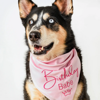 Birthday Girl Bandana