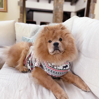 The Great Yukon Dog Sweater