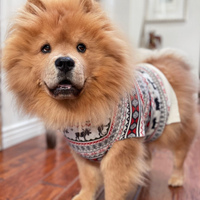 The Great Yukon Dog Sweater