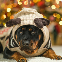 Moosey Hoodie