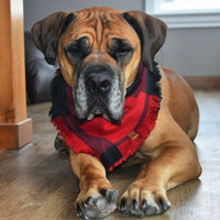 Burning Embers Bandana