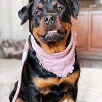 Pop of Spring Bandana