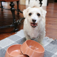 Bamboo Bowl Set