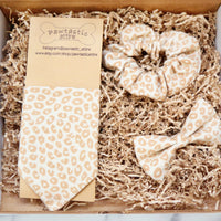 Cheetah Print Gift Box