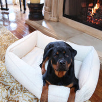 Ivory Lounger Bed