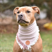 Rose Bandana