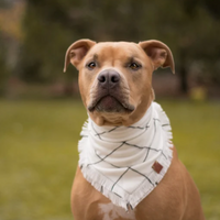 Gardenia White Bandana