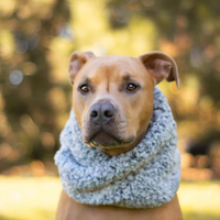 Winter Grey Infinity Scarf