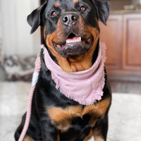 Rose Bandana