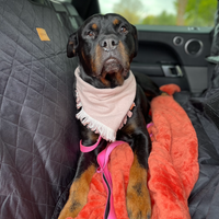 Rose Bandana