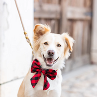 Winter Plaid Bow