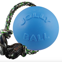 Romp-n-Roll Ball